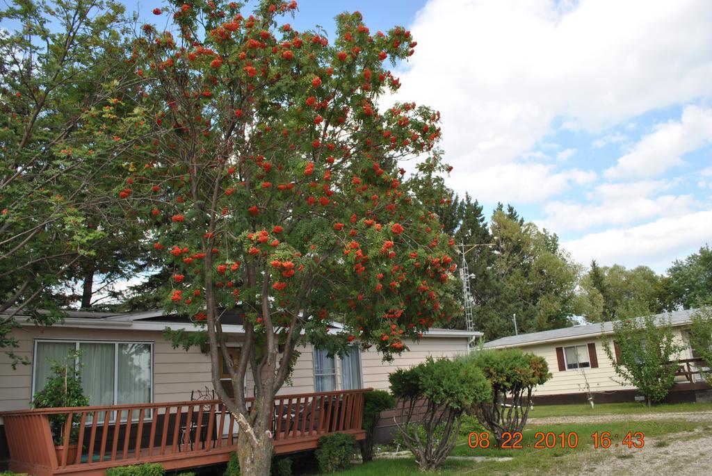 Neepawa Motel Екстер'єр фото